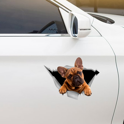 We Like Riding In Cars -  French Bulldog Car/ Door/ Fridge/ Laptop Sticker V1