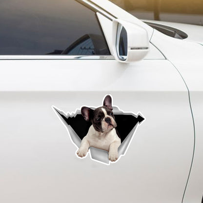 We Like Riding In Cars - French Bulldog Car/ Door/ Fridge/ Laptop Sticker V3