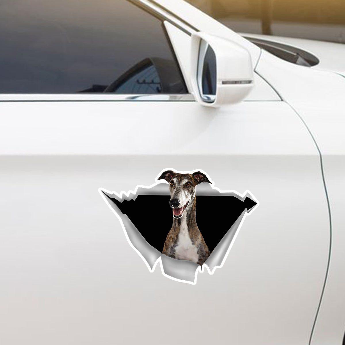 We Like Riding In Cars - Greyhound Car/ Door/ Fridge/ Laptop Sticker V1