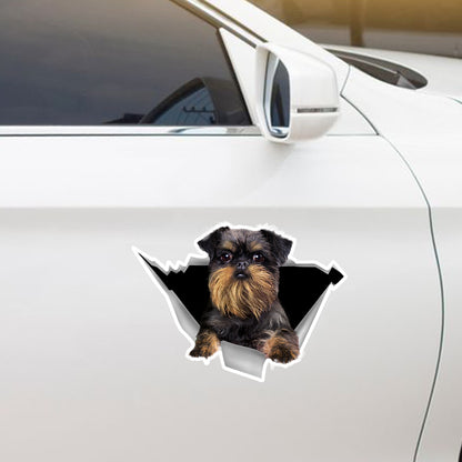 We Like Riding In Cars - Griffon Bruxellois Car/ Door/ Fridge/ Laptop Sticker V4