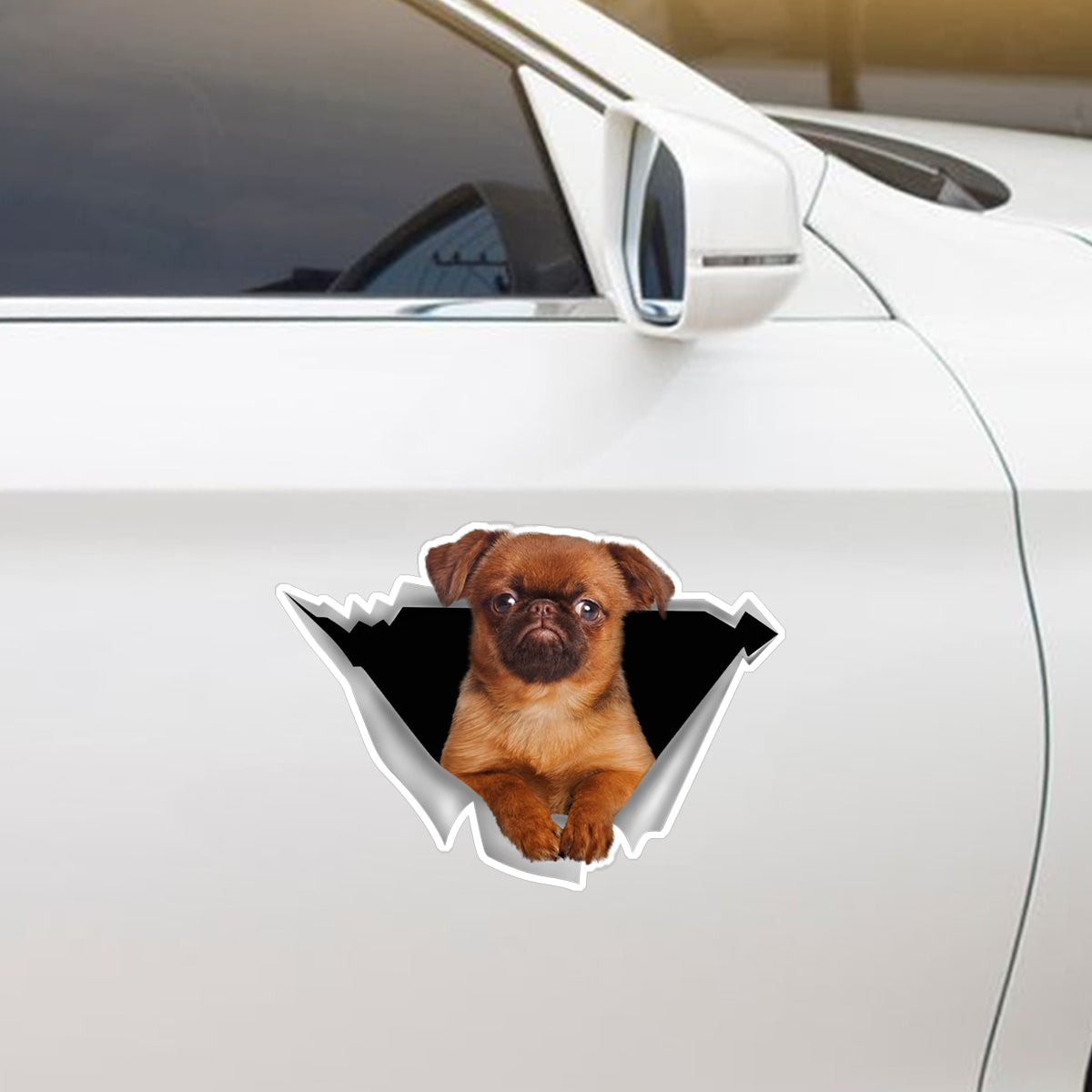 We Like Riding In Cars - Griffon Bruxellois Car/ Door/ Fridge/ Laptop Sticker V3