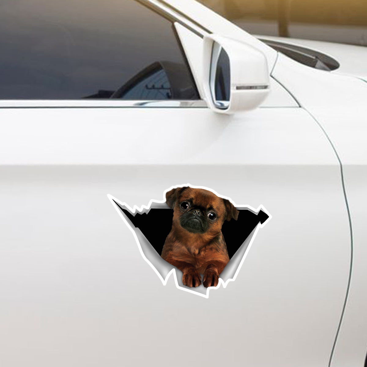 We Like Riding In Cars -  Griffon Bruxellois Car/ Door/ Fridge/ Laptop Sticker V2