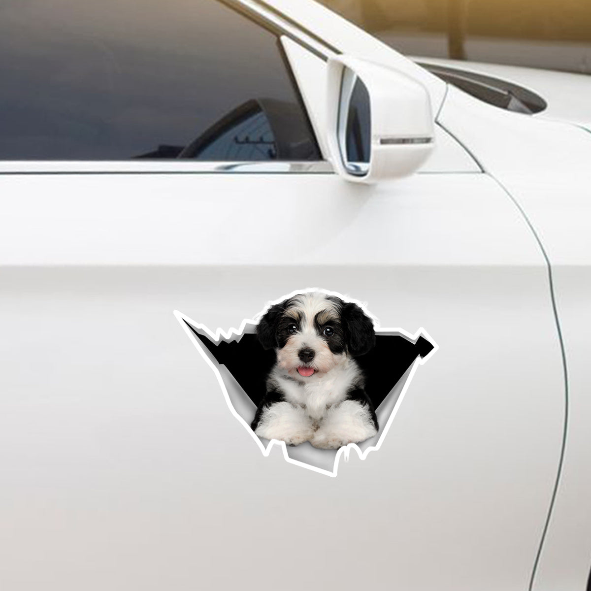 We Like Riding In Cars - Havanese Car/ Door/ Fridge/ Laptop Sticker V1