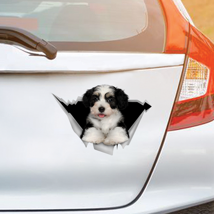 We Like Riding In Cars - Havanese Car/ Door/ Fridge/ Laptop Sticker V1