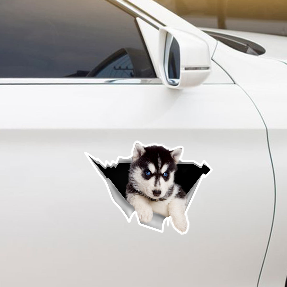 We Like Riding In Cars -  Husky Car/ Door/ Fridge/ Laptop Sticker V1