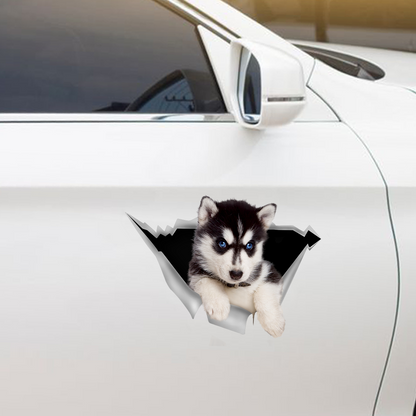 We Like Riding In Cars – Husky Auto-/Tür-/Kühlschrank-/Laptop-Aufkleber V1