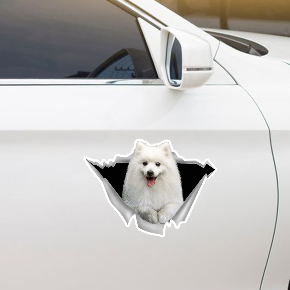 Nous aimons rouler en voiture - Autocollant de voiture/porte/réfrigérateur/ordinateur portable Spitz japonais V1