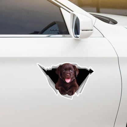 We Like Riding In Cars - Labrador Car/ Door/ Fridge/ Laptop Sticker V1