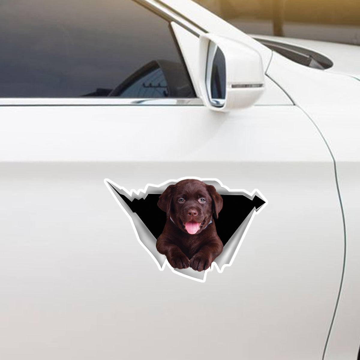 Nous aimons rouler en voiture - Labrador Car/ Door/ Fridge/ Laptop Sticker V1