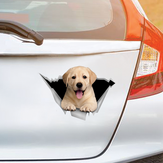 Nous aimons rouler en voiture - Labrador Car/ Door/ Fridge/ Laptop Sticker V2