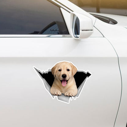 Nous aimons rouler en voiture - Labrador Car/ Door/ Fridge/ Laptop Sticker V2
