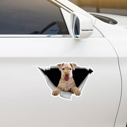 Nous aimons rouler dans les voitures - Lakeland Terrier Autocollant de voiture/porte/réfrigérateur/ordinateur portable V1