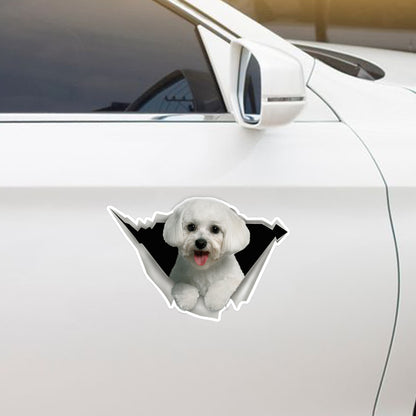 We Like Riding In Cars -  Maltese Car/ Door/ Fridge/ Laptop Sticker V1