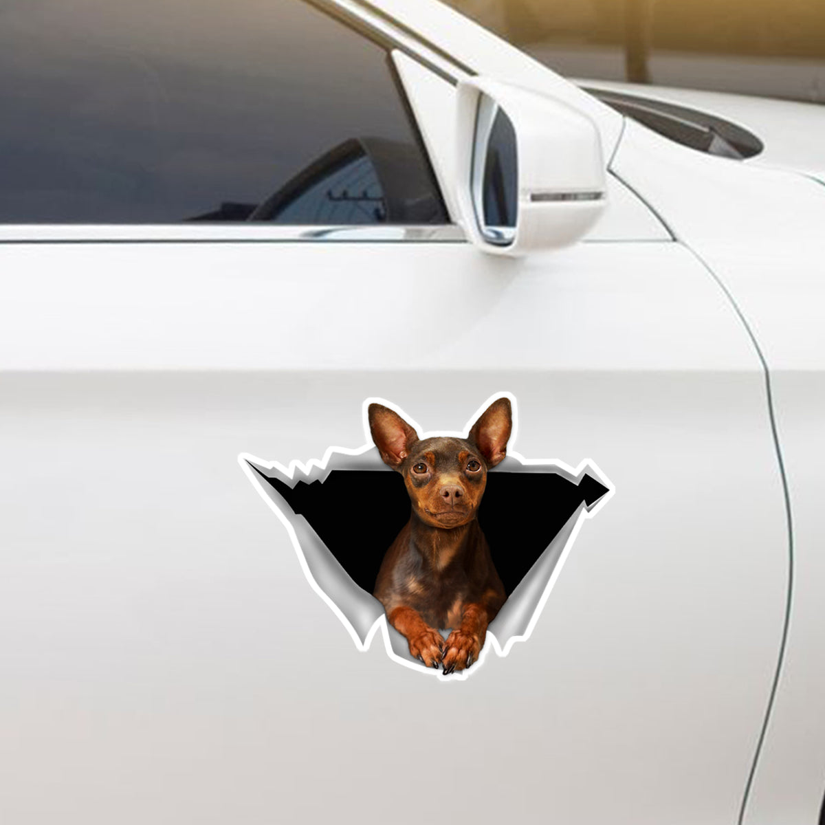 We Like Riding In Cars - Miniature Pinscher Car/ Door/ Fridge/ Laptop Sticker V3