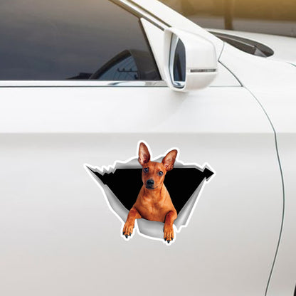 Nous aimons rouler en voiture - Autocollant Pinscher miniature pour voiture/porte/réfrigérateur/ordinateur portable V2