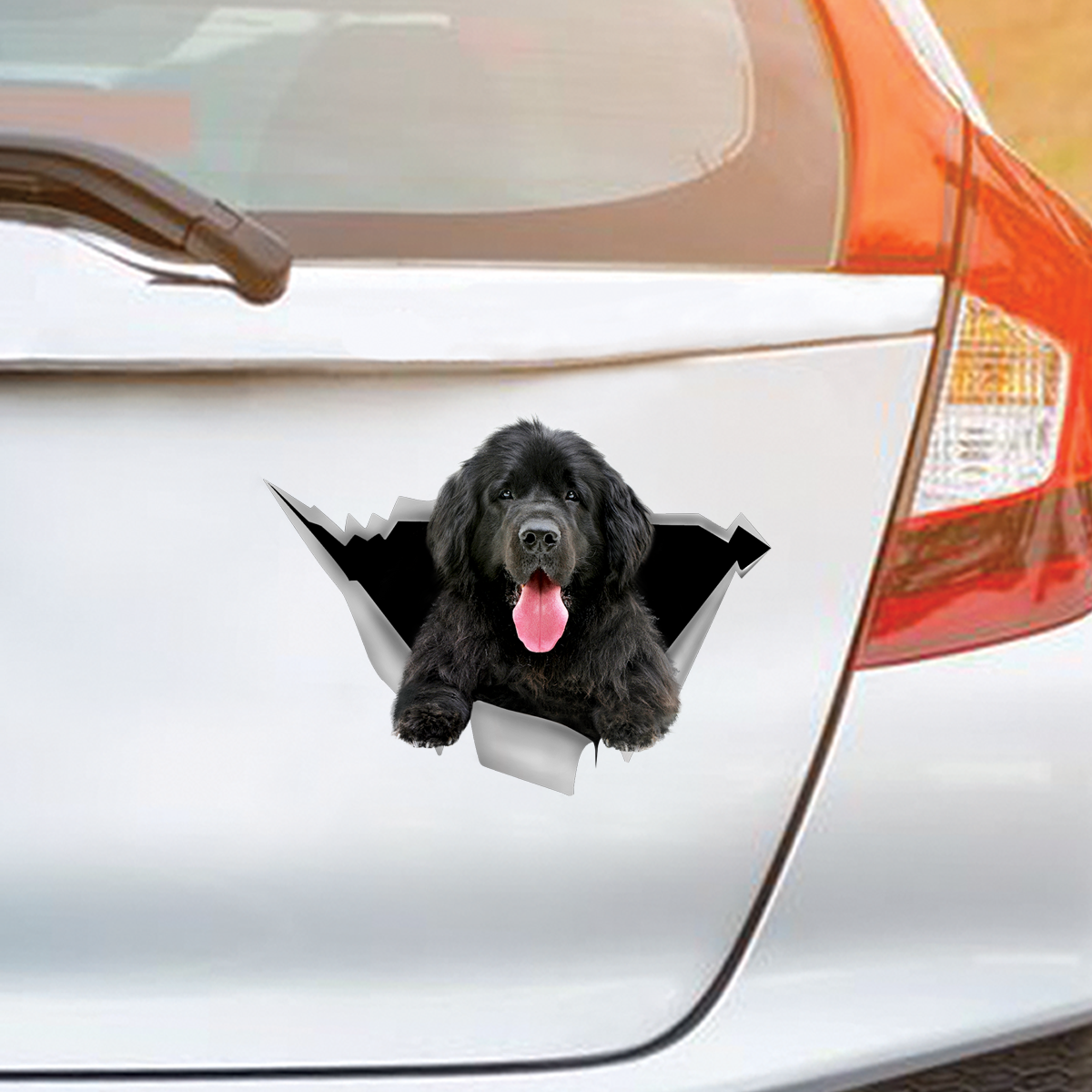 We Like Riding In Cars - Newfoundland Car/ Door/ Fridge/ Laptop Sticke ...