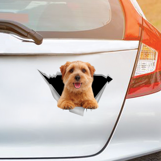 We Like Riding In Cars – Norfolk Terrier Auto-/Tür-/Kühlschrank-/Laptop-Aufkleber V1