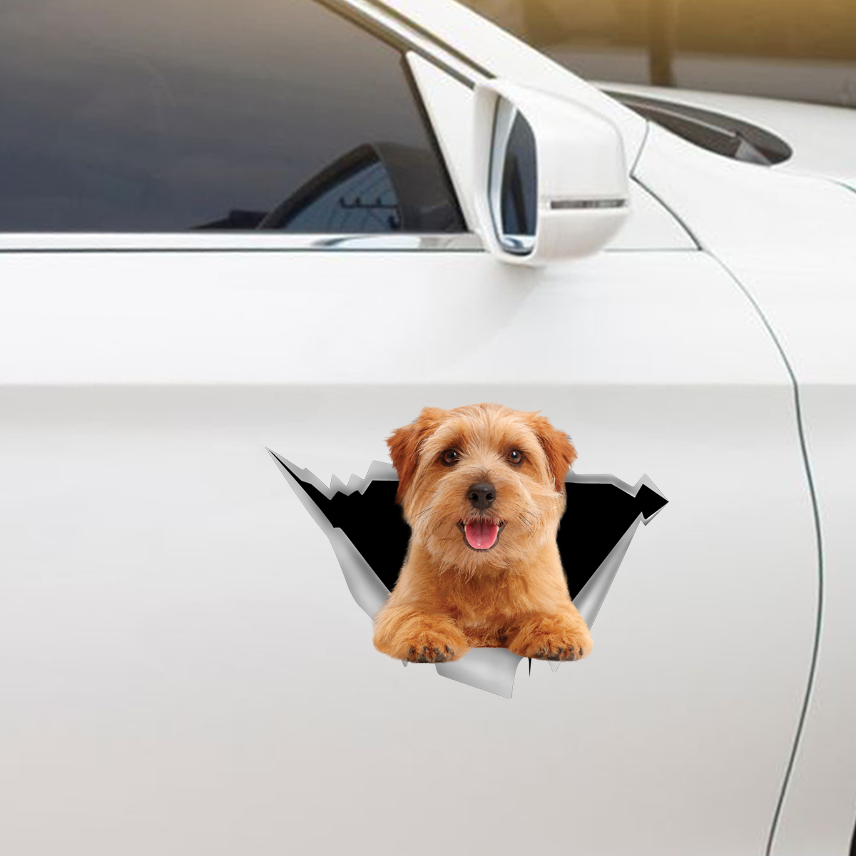 We Like Riding In Cars - Norfolk Terrier Car/ Door/ Fridge/ Laptop Sticker V1