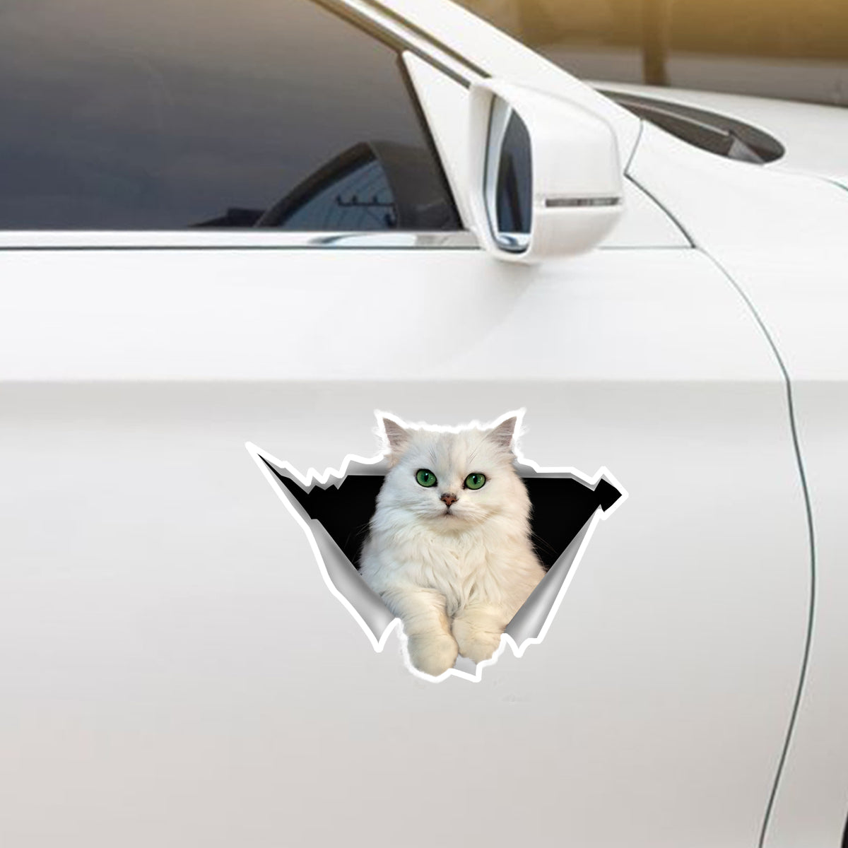 We Like Riding In Cars - Persian Chinchilla Cat Car/ Door/ Fridge/ Laptop Sticker V1