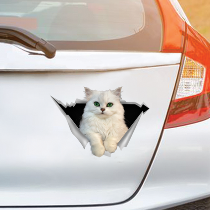 We Like Riding In Cars – Aufkleber für Auto/Tür/Kühlschrank/Laptop mit persischer Chinchilla-Katze V1