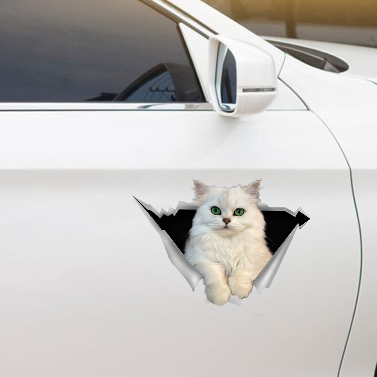 Nous aimons rouler dans les voitures - Autocollant de voiture/porte/réfrigérateur/ordinateur portable persan Chinchilla Cat V1