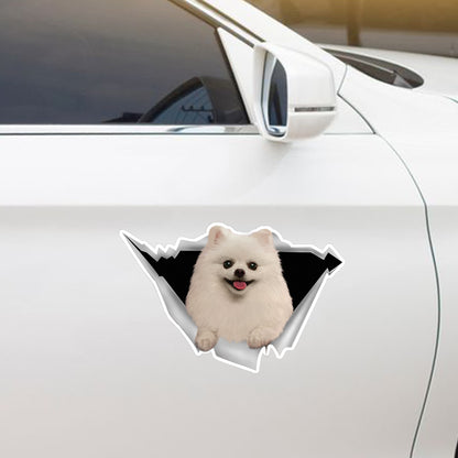 We Like Riding In Cars - Pomeranian Car/ Door/ Fridge/ Laptop Sticker V1
