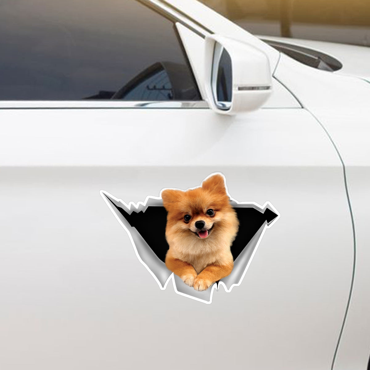 We Like Riding In Cars - Pomeranian Car/ Door/ Fridge/ Laptop Sticker V2