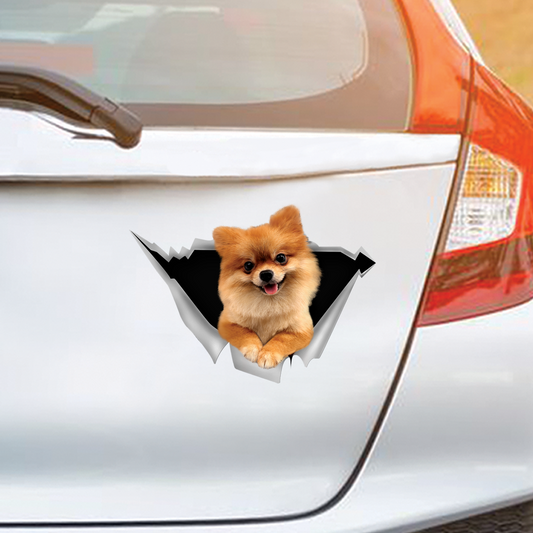 We Like Riding In Cars - Pomeranian Car/ Door/ Fridge/ Laptop Sticker V2