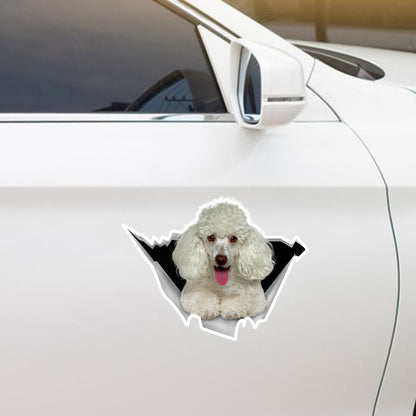 We Like Riding In Cars - Poodle Car/ Door/ Fridge/ Laptop Sticker V2