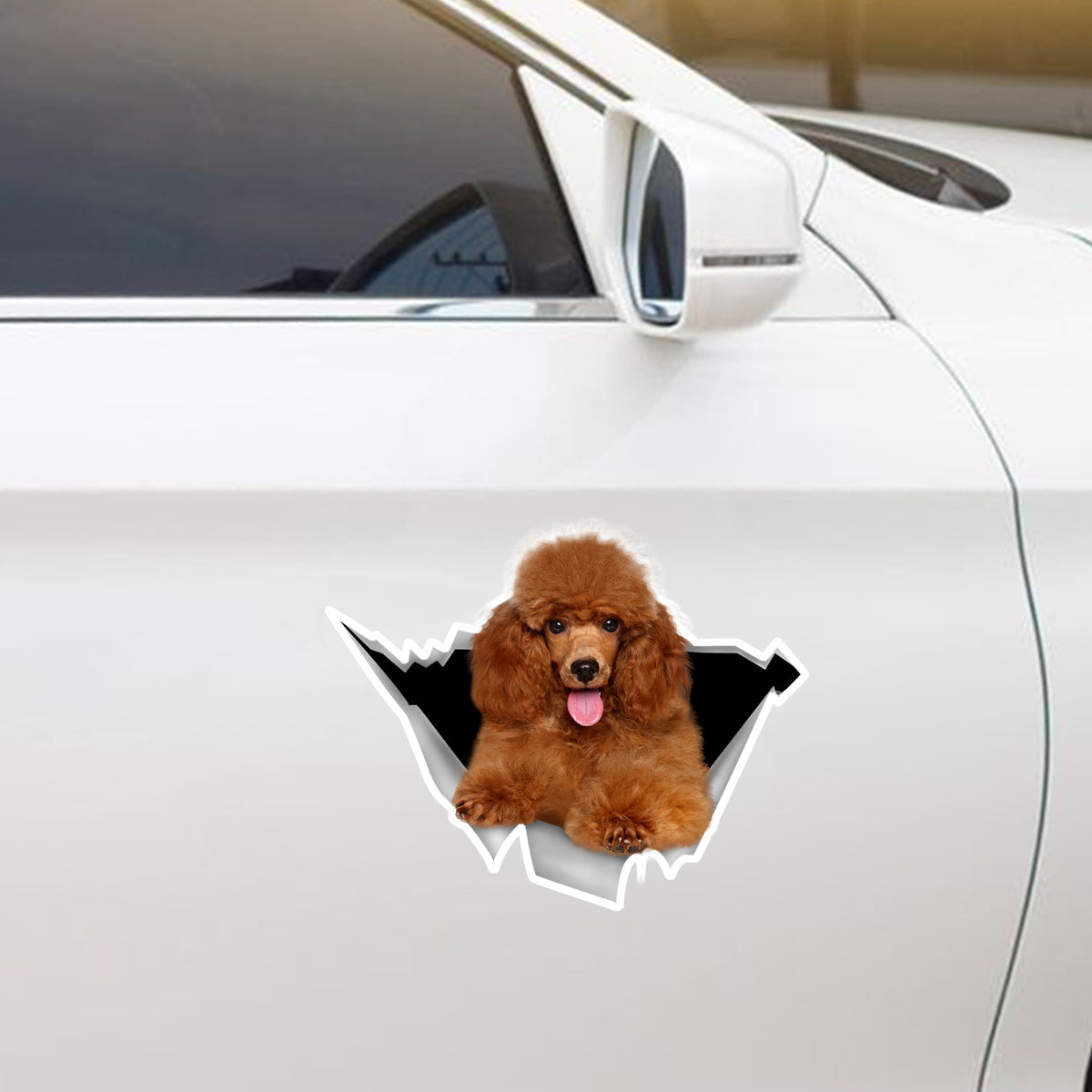 We Like Riding In Cars -  Poodle Car/ Door/ Fridge/ Laptop Sticker V5