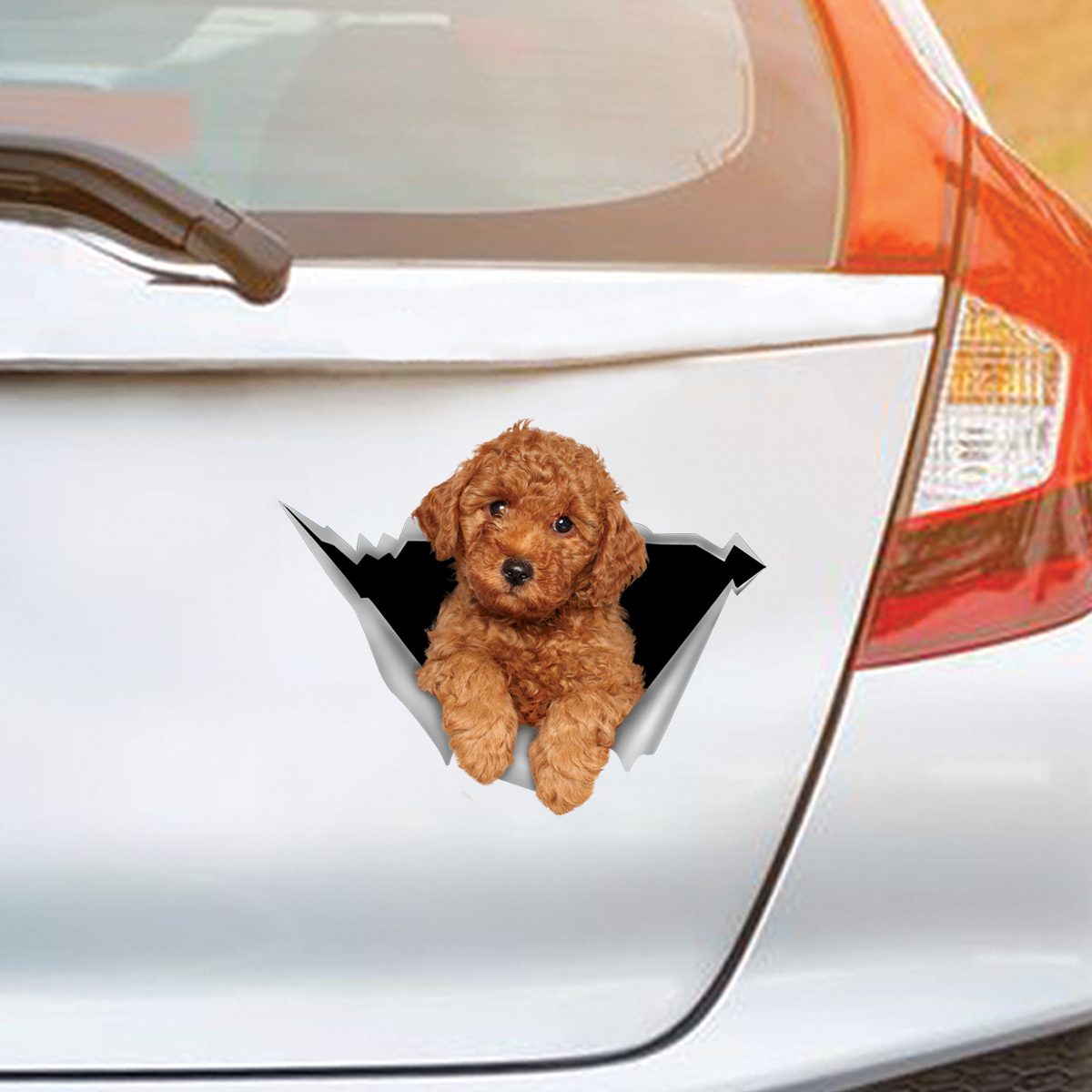 We Like Riding In Cars - Poodle Car/ Door/ Fridge/ Laptop Sticker V1