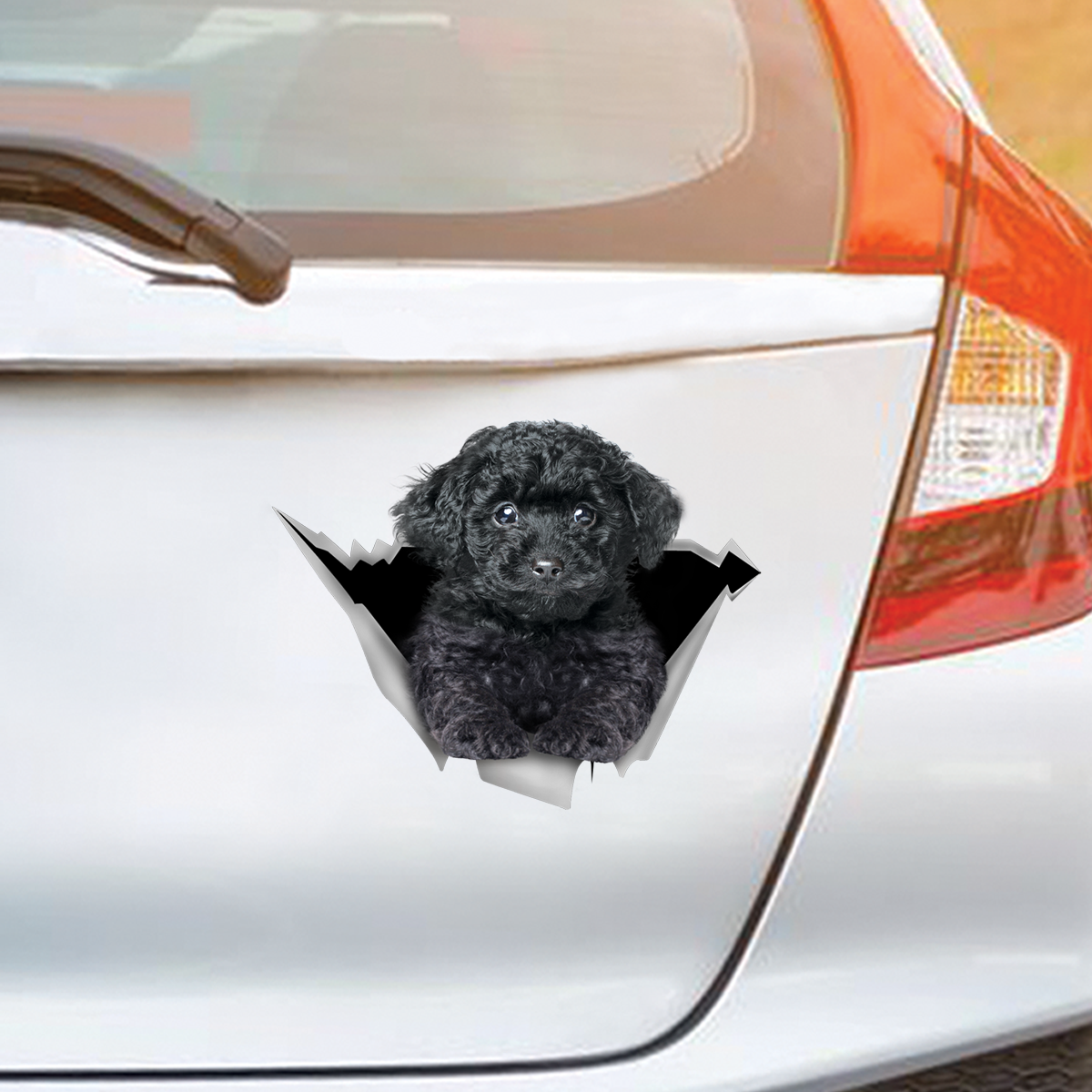 We Like Riding In Cars - Poodle Car/ Door/ Fridge/ Laptop Sticker V3