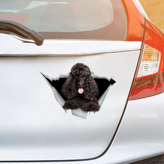 We Like Riding In Cars -  Poodle Car/ Door/ Fridge/ Laptop Sticker V4