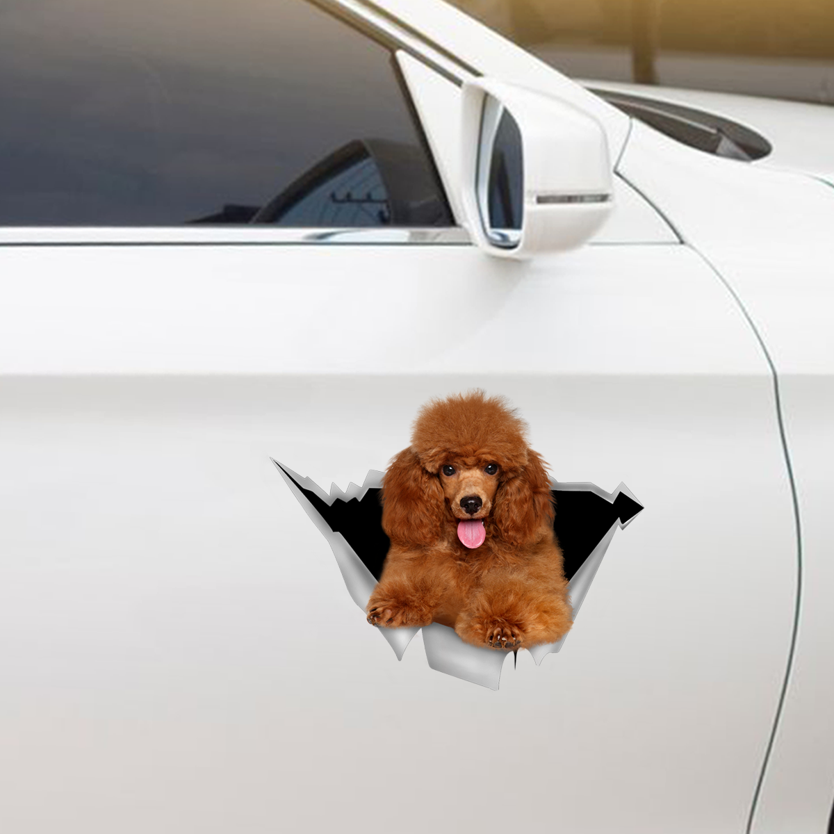 We Like Riding In Cars -  Poodle Car/ Door/ Fridge/ Laptop Sticker V5