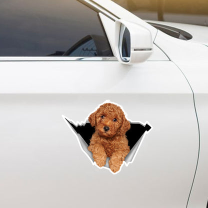 We Like Riding In Cars - Poodle Car/ Door/ Fridge/ Laptop Sticker V1