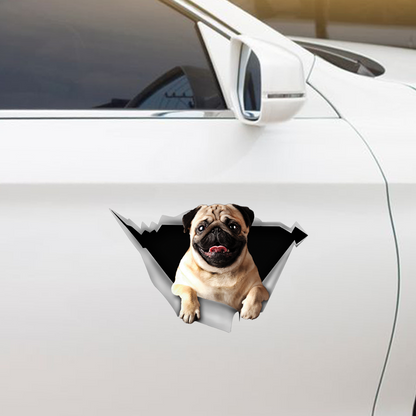 We Like Riding In Cars - Pug Car/ Door/ Fridge/ Laptop Sticker V1