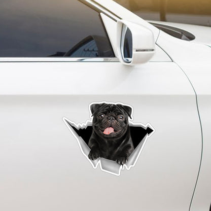 We Like Riding In Cars - Pug Car/ Door/ Fridge/ Laptop Sticker V2