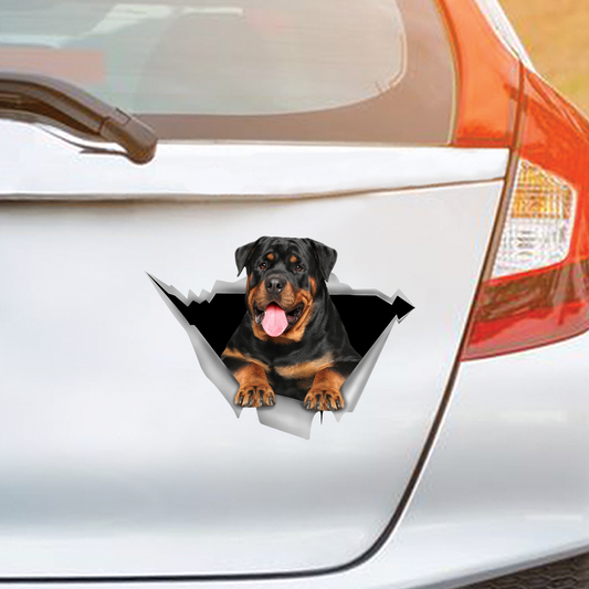 We Like Riding In Cars - Rottweiler Car/ Door/ Fridge/ Laptop Sticker V1