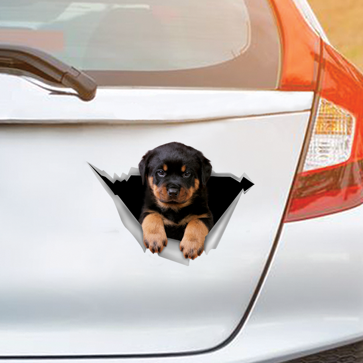 We Like Riding In Cars - Rottweiler Car/ Door/ Fridge/ Laptop Sticker V2