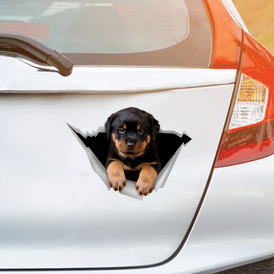 We Like Riding In Cars - Rottweiler Auto-/Tür-/Kühlschrank-/Laptop-Aufkleber V2