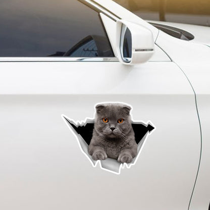 Nous aimons rouler dans les voitures - Scottish Fold Cat Car/ Porte/ Réfrigérateur/ Autocollant pour ordinateur portable V1