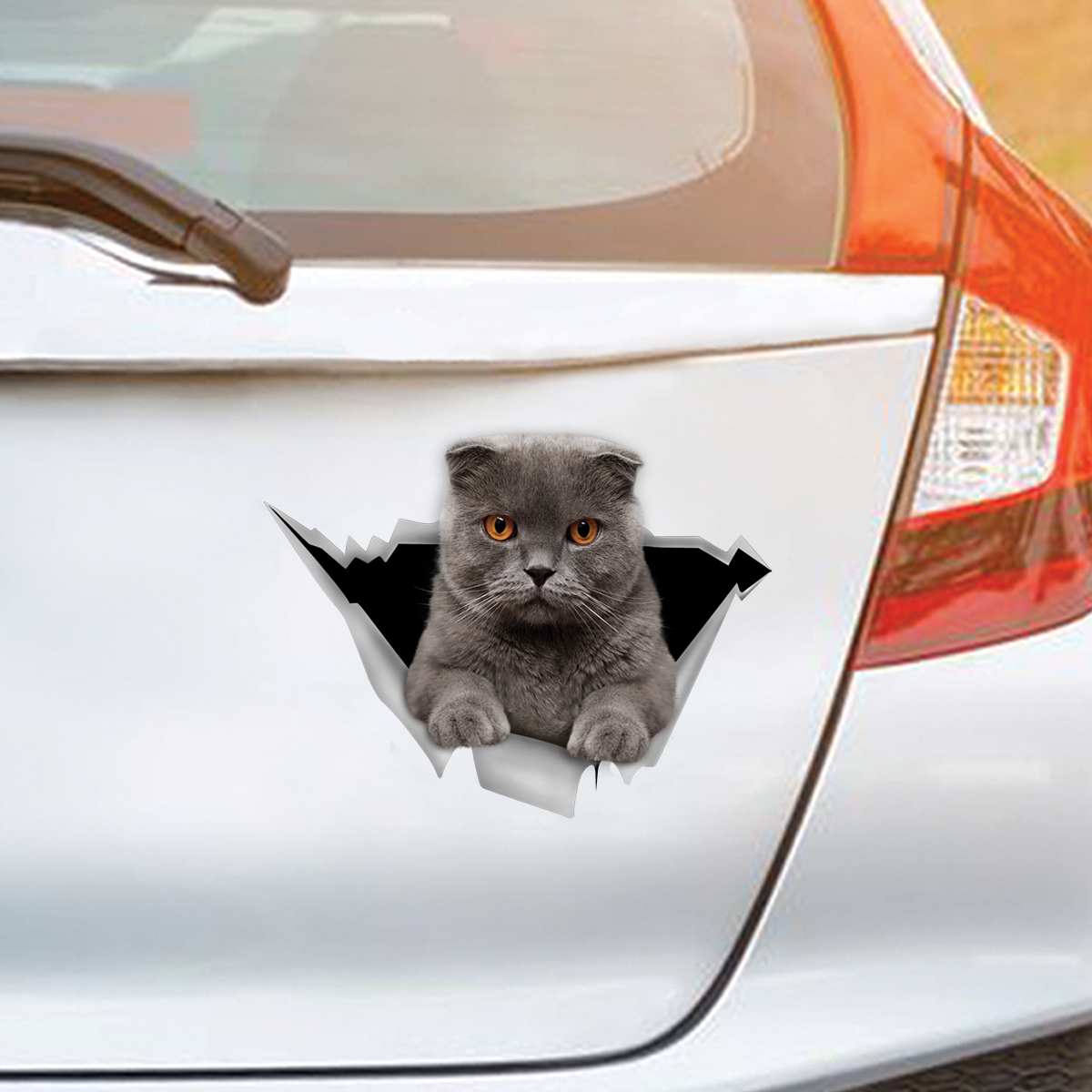 We Like Riding In Cars – Scottish Fold Katzenaufkleber für Auto/Tür/Kühlschrank/Laptop V1