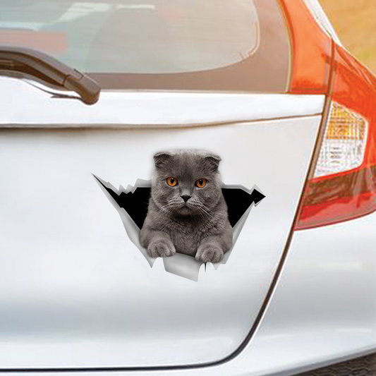 We Like Riding In Cars - Scottish Fold Cat Car/ Door/ Fridge/ Laptop Sticker V1