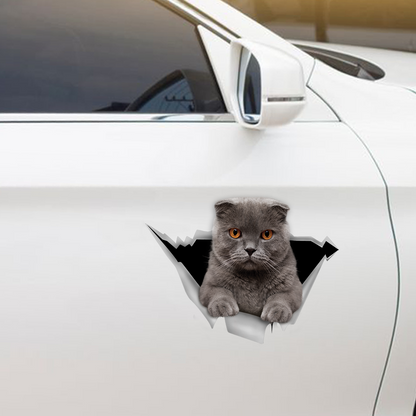 Nous aimons rouler dans les voitures - Scottish Fold Cat Car/ Porte/ Réfrigérateur/ Autocollant pour ordinateur portable V1