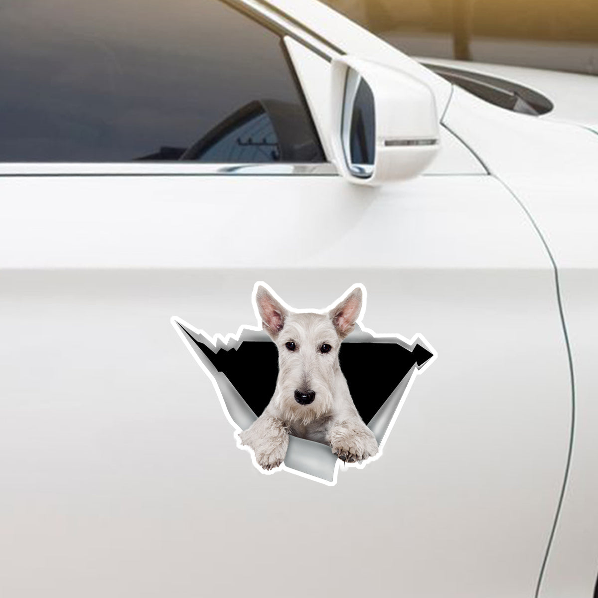 Nous aimons rouler dans les voitures - Autocollant de voiture/porte/réfrigérateur/ordinateur portable Scottish Terrier V2