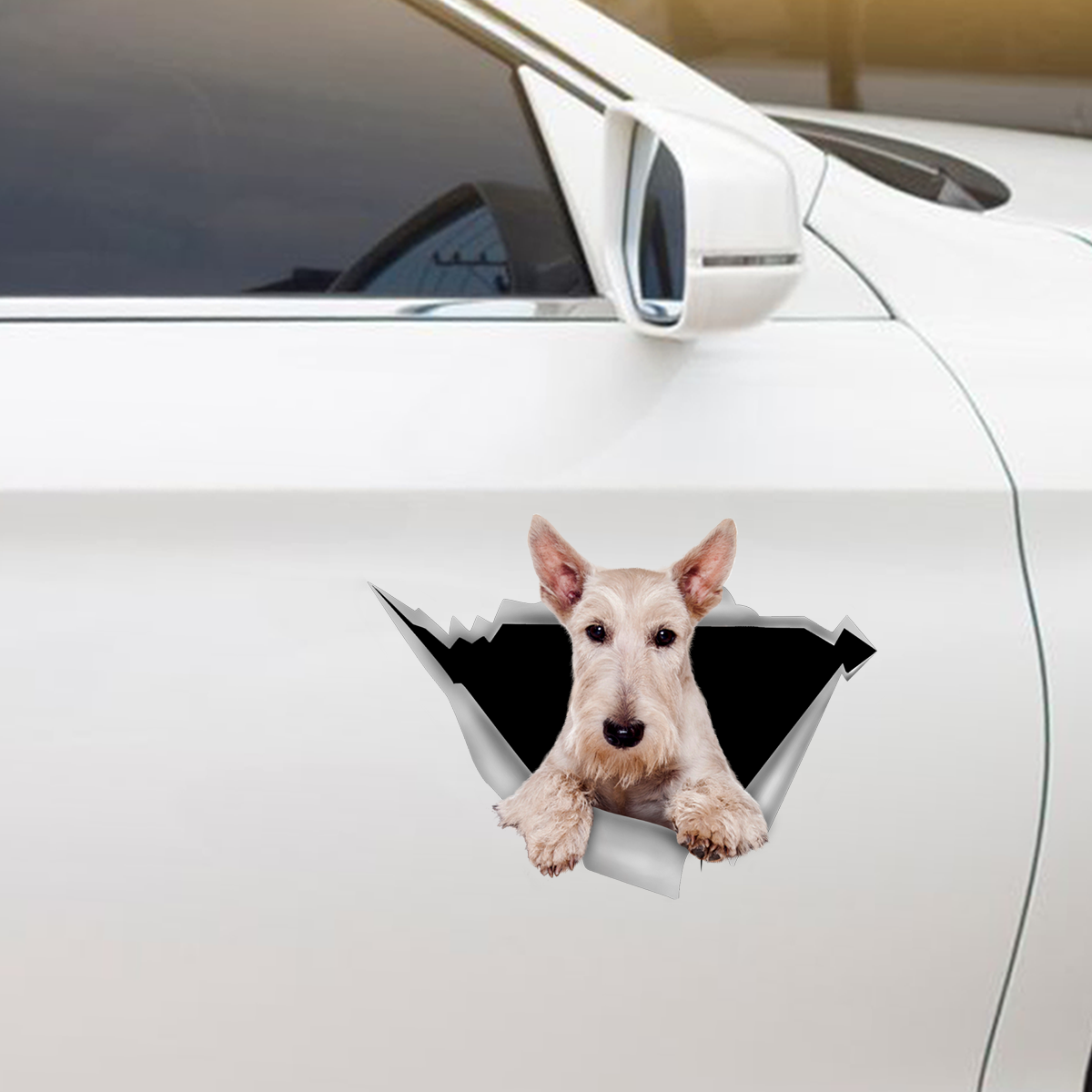 We Like Riding In Cars - Scottish Terrier Car/ Door/ Fridge/ Laptop Sticker V1