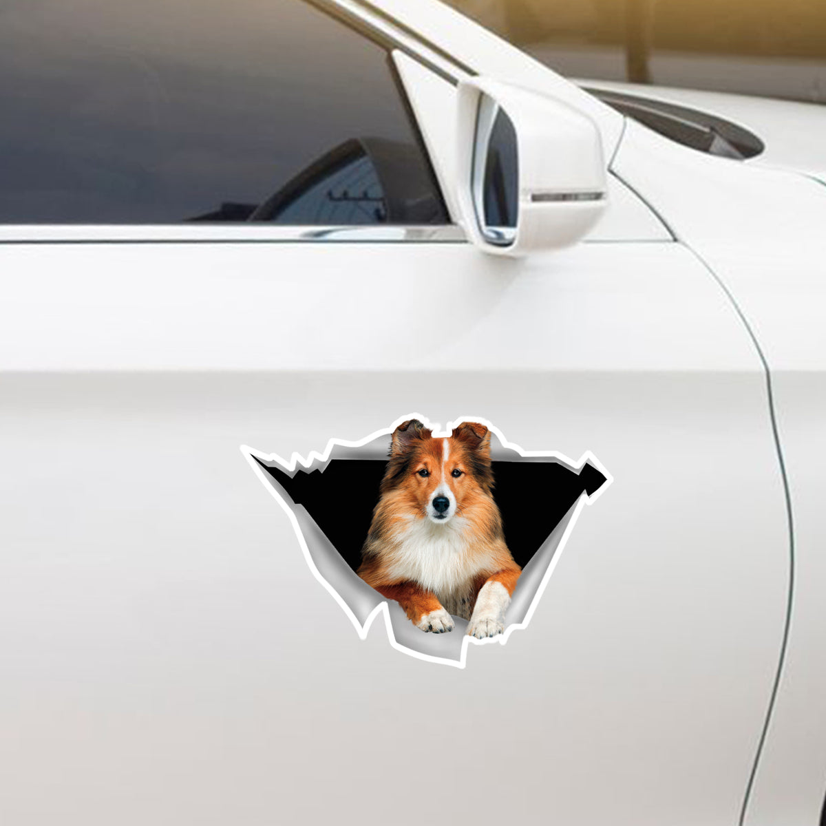Nous aimons monter dans les voitures - Autocollant de voiture/porte/réfrigérateur/ordinateur portable Shetland Sheepdog V3