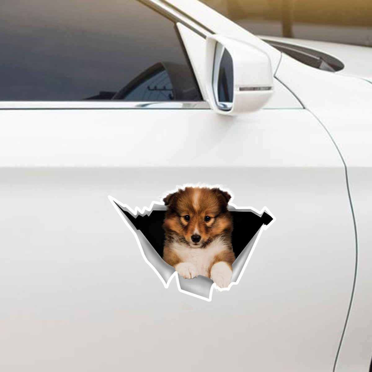 Nous aimons monter dans les voitures - Autocollant de voiture/porte/réfrigérateur/ordinateur portable Shetland Sheepdog V1