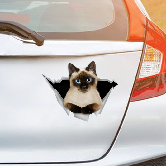 We Like Riding In Cars - Siamese Cat Car/ Door/ Fridge/ Laptop Sticker V1