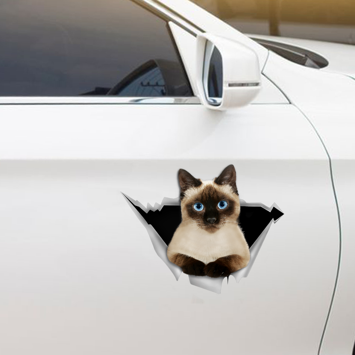We Like Riding In Cars - Siamese Cat Car/ Door/ Fridge/ Laptop Sticker V1